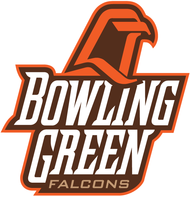 Bowling Green Falcons 1999-2005 Alternate Logo t shirts DIY iron ons v3